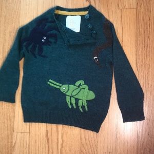 Mini Biden Roald Dahl Bug sweater 2-3T